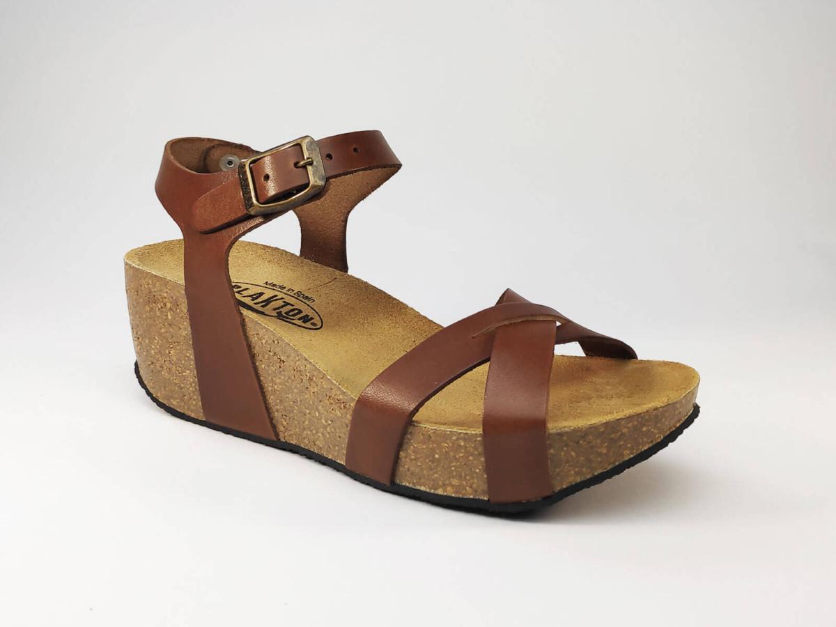 plakton camel