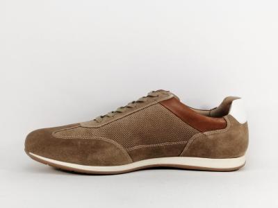 Chaussure grande taille homme cuir taupe confort destockage jOSEF SEIBEL colby 03