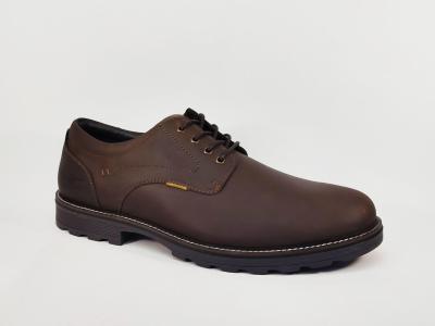 Chaussure homme grande taille derby cuir marron destockage CAMEL ACTIVE 53FWA08
