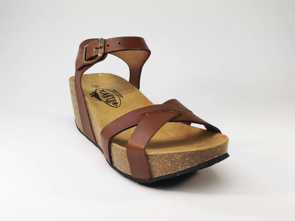plakton camel