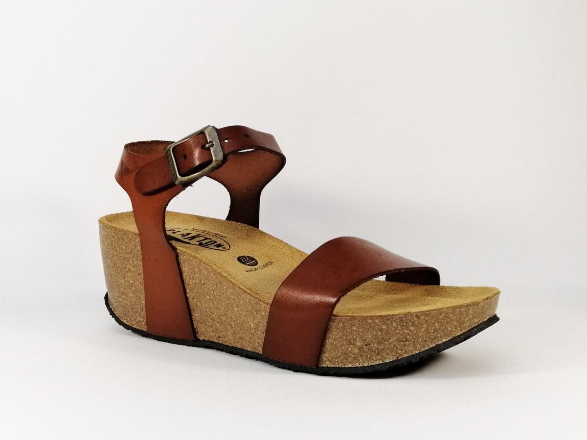 plakton camel