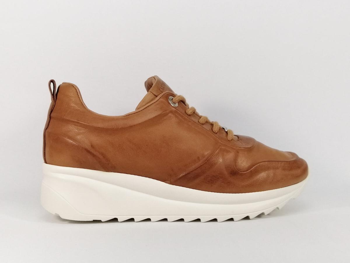 sneakers camel femme