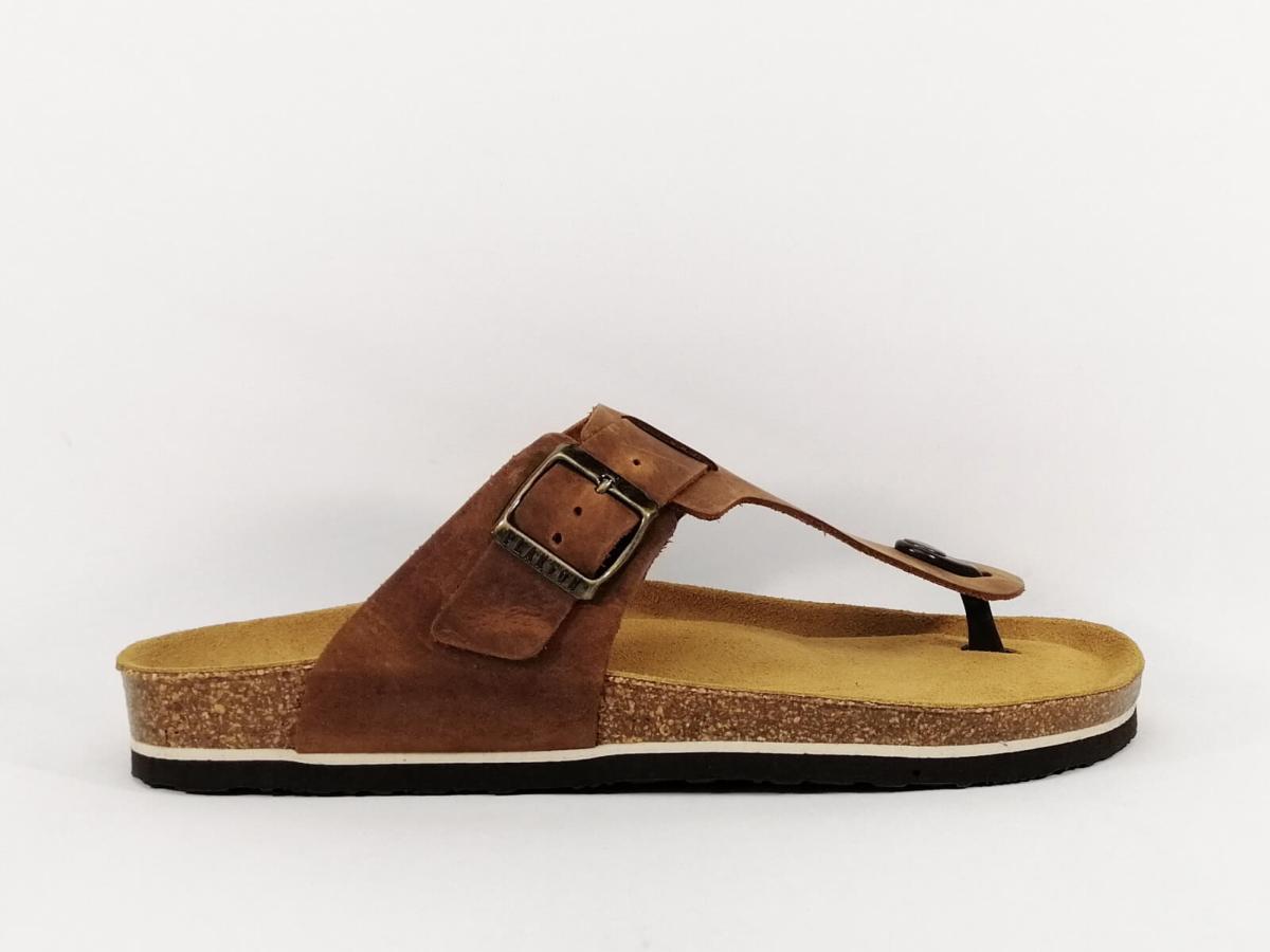 plakton camel