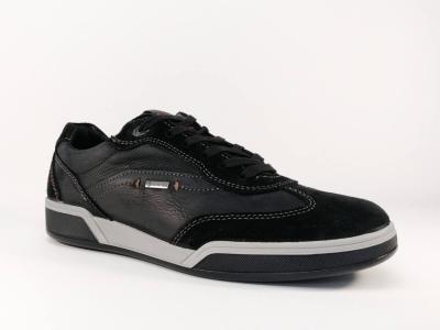 salamander basket homme