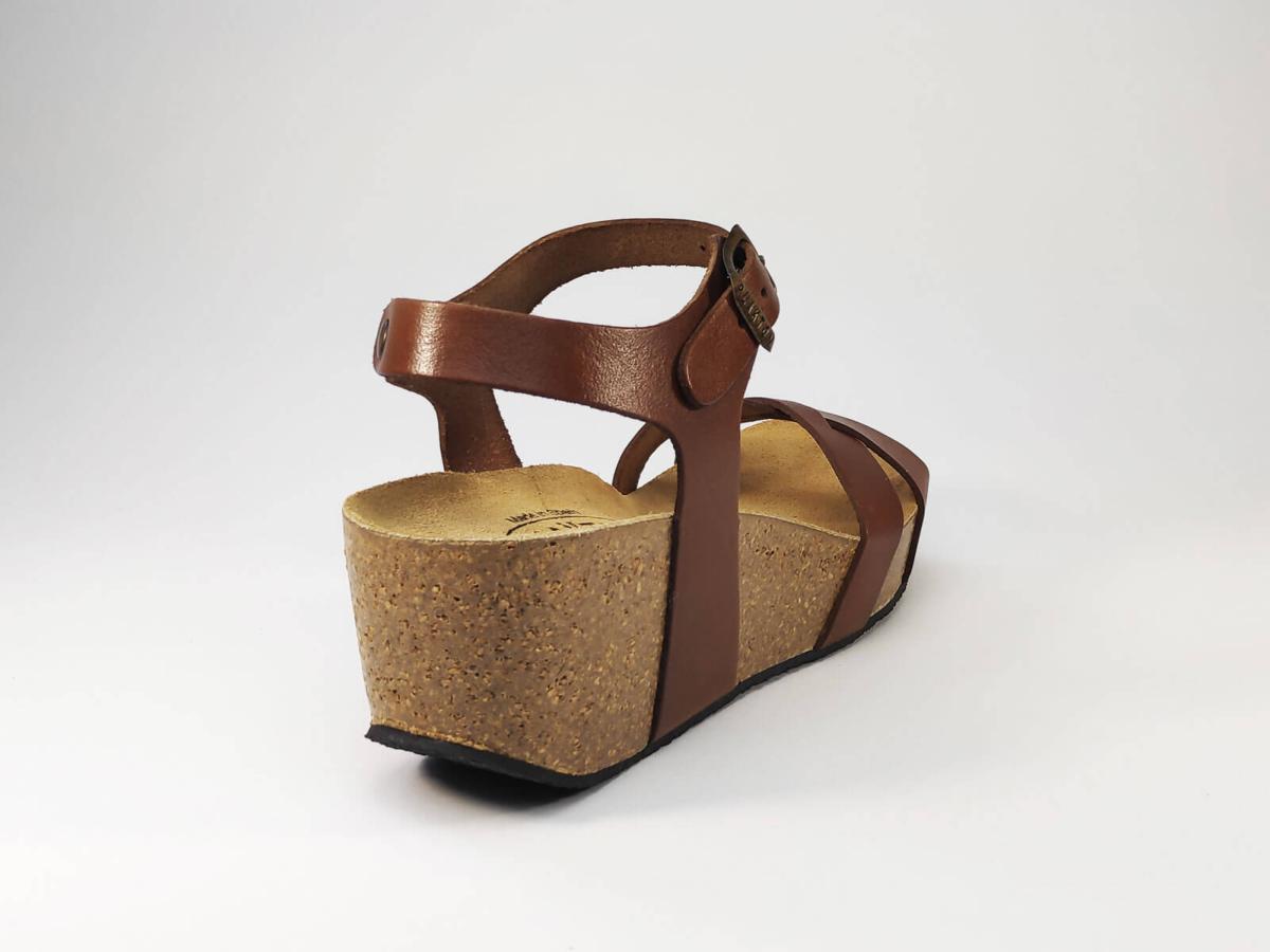 plakton camel