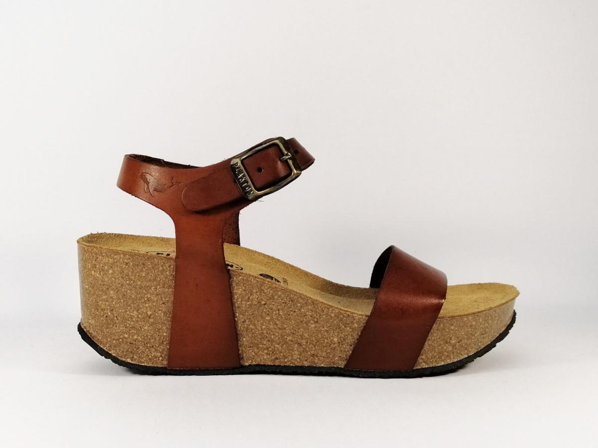 plakton camel